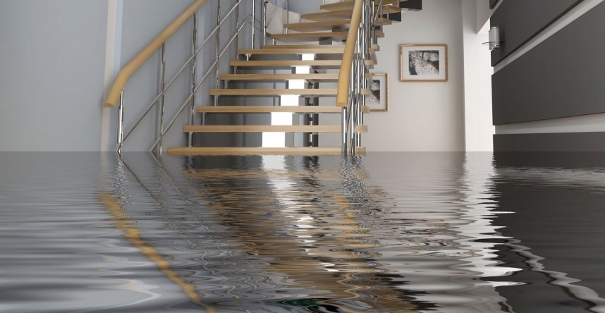 Reasons for hiring a water damage restoration company