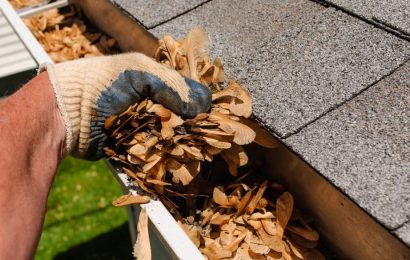 professional gutter cleaning