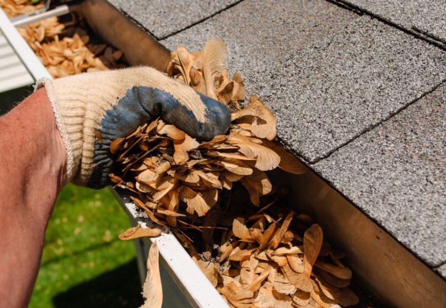 Gutter Cleaning: Why You Should Hire Experts for the Job