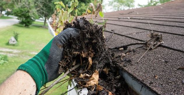 gutter cleaning service